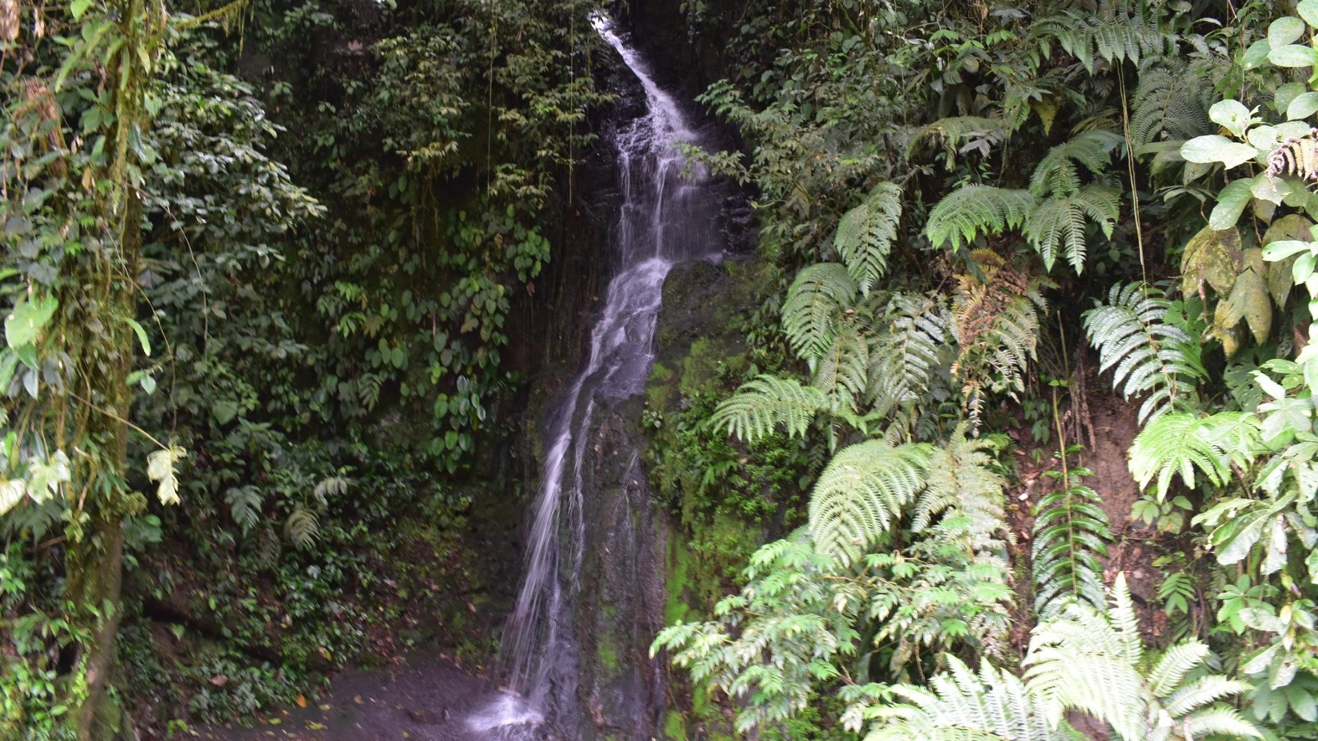 Recuerdo del viaje, página 10