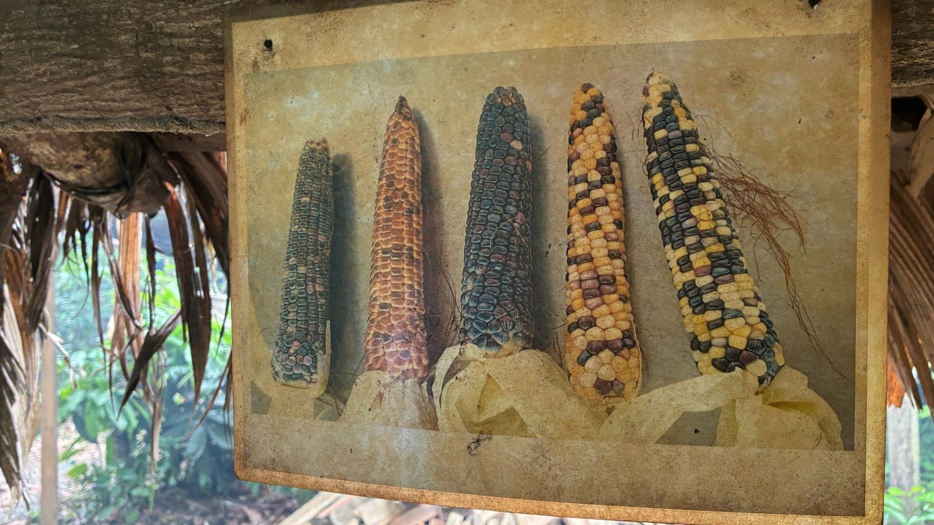 Recuerdo del viaje, página 23