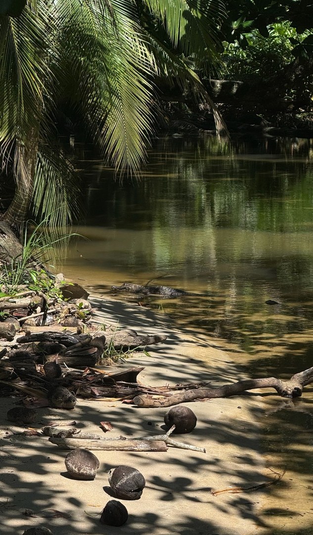 Recuerdo del viaje, página 8, fotografía 3