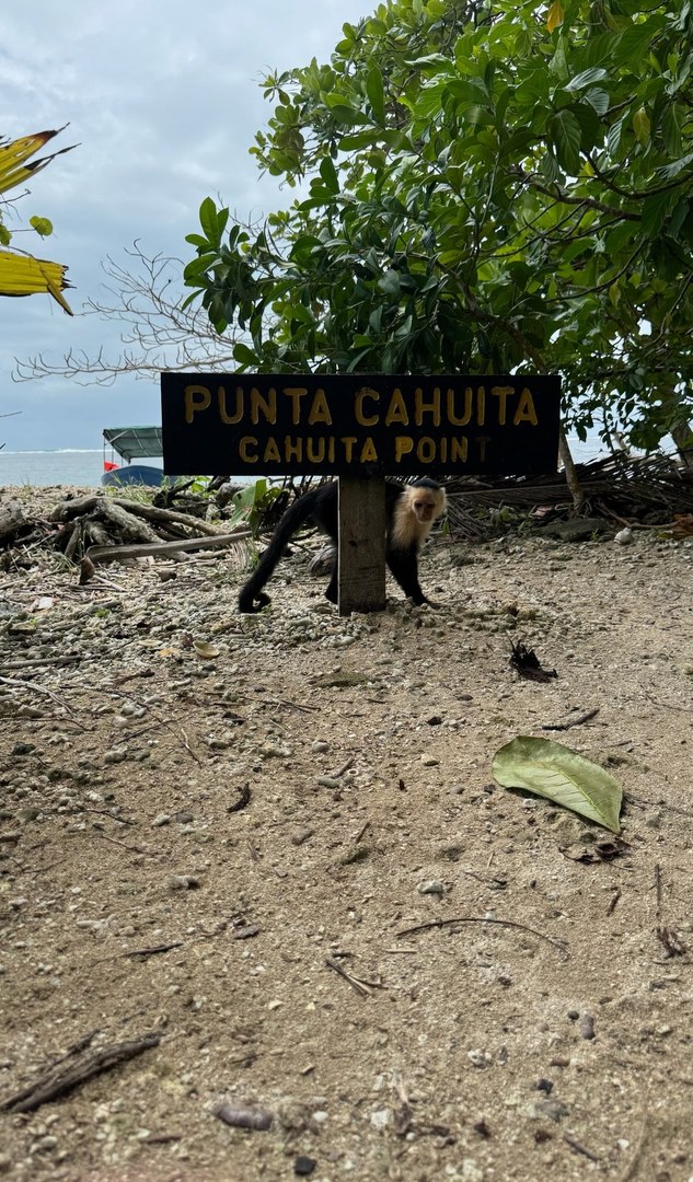 Recuerdo del viaje, página 14, fotografía 3